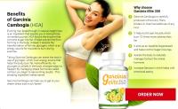 Garcinia Elite 350 Reviews image 1